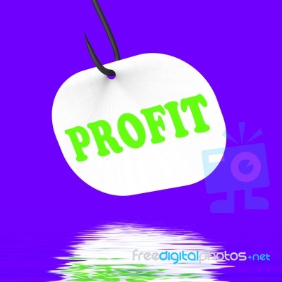 Profit On Hook Displays Financial Incomes And Earnings Stock Image