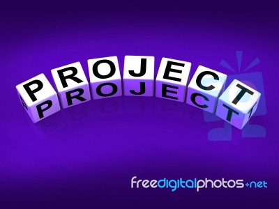 Project Blocks Show Scheme Venture And Task Stock Image