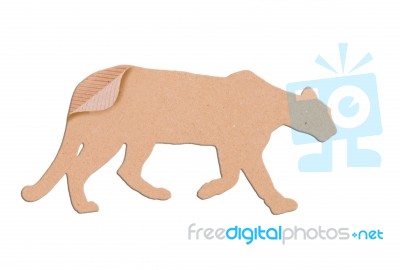 Puma Shape Paper Box Stock Photo