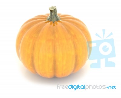 Pumpkin Stock Image