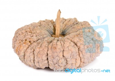 Pumpkin Isolated On The White Background Stock Photo
