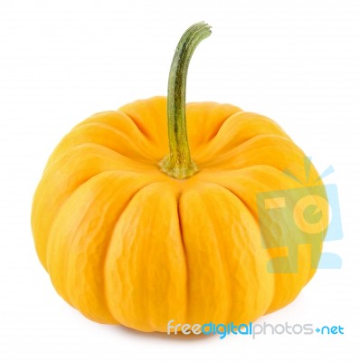 Pumpkin Isolated On The White Background Stock Photo Pumpkin Isolated On The White Background Stock Photo