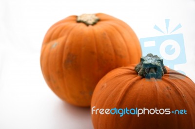 Pumpkins Stock Photo