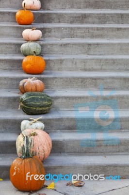 Pumpkins On Concrete Stairs Stock Photo