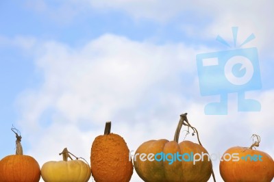 Pumpkins On Sky Background Stock Photo