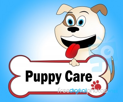 Puppy Care Represents Looking After And Doggie Stock Image