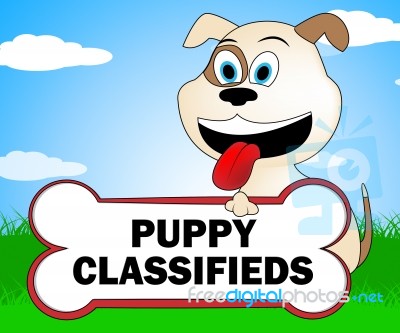 Puppy Classifieds Indicates Pets Canine And Canines Stock Image