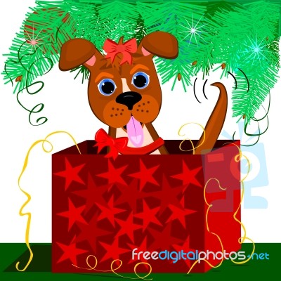 Puppy Present Stock Image