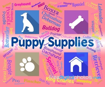 Puppy Supplies Indicates Merchandise Pets And Purebred Stock Image
