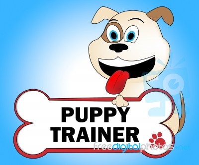Puppy Trainer Shows Doggie Puppies And Teach Stock Image