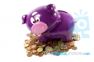 Purple Piggy Bank with coins Stock Photo