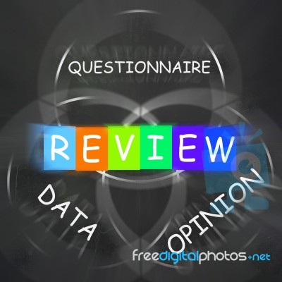 Questionnaire Of Reviewed Data And Opinion Displays Feedback Stock Image