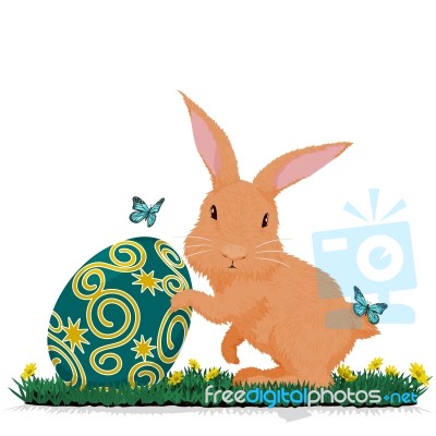 Rabbit Hold Easter Egg Stock Image