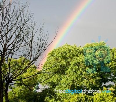 Rainbow In The Sky After Rain Stock Photo