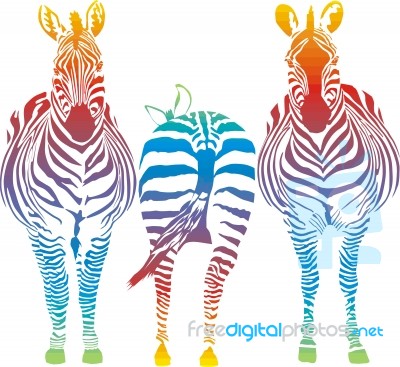 Rainbow Zebra Stock Image