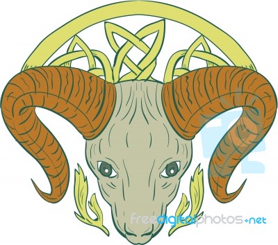 Ram Head Celtic Knot Stock Image
