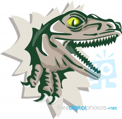 Raptor Head Breaking Out Wall Retro Stock Image