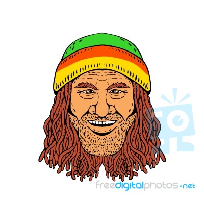Rastafarian Head Front Drawing Color Stock Image