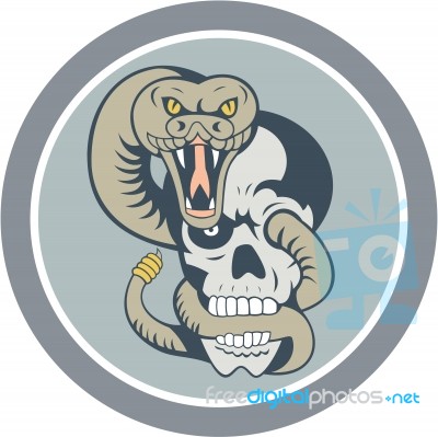 Rattle Snake Curling Around Skull Cartoon Stock Image