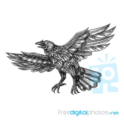 Raven Flying Up Geometric Mandala Tattoo Stock Image