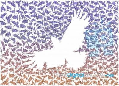 Raven From A Flock Of Flying Ravens Stock Image Raven From A Flock Of Flying Ravens Stock Image