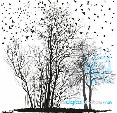 Ravens On A Group Of Agate Trees Stock Image