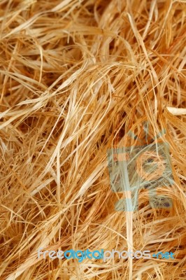 Raw Jute Stock Photo