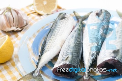 Raw Mackerel Fish Stock Photo