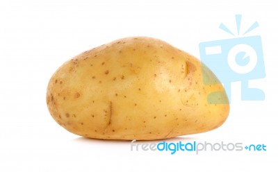 Raw Potato Isolated On The White Background Stock Photo