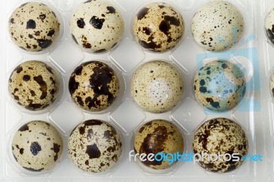 Raw Quail Eggs Stock Photo