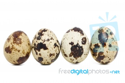 Raw Quail Eggs Stock Photo Raw Quail Eggs Stock Photo