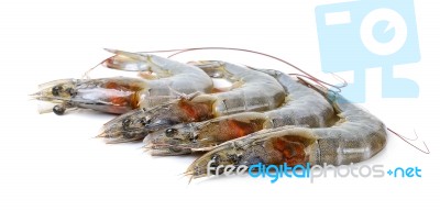 Raw Shrimp Isolated Stock Photo