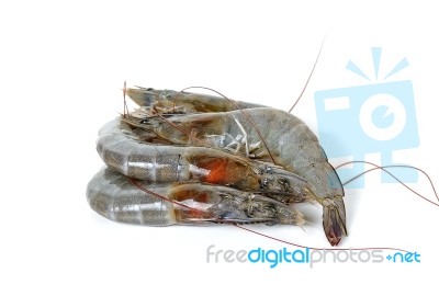 Raw Shrimp Isolated On The Whtie Background Stock Photo
