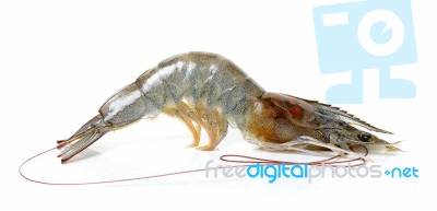 Raw Shrimp Isolated On The Whtie Background Stock Photo