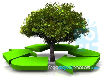 Recycling Symbol Around Tree Stock Image