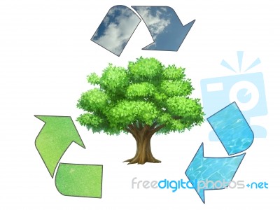 Recycling Symbol With Tree Stock Image
