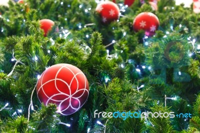 Red Ball And Light Bulb On Pine Tree Stock Photo
