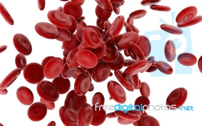 Red Blood Cells Stock Image