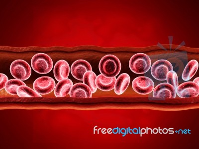  Red Blood Cells With Wain Stock Image