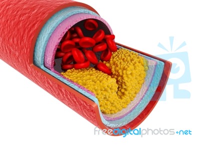 Red Blood Cells With Wain Stock Image