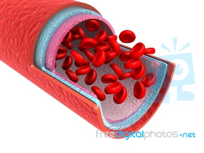 Red Blood Cells With Wain Stock Image