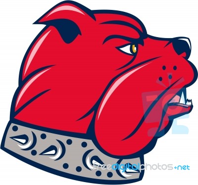 Red Bulldog Head Isolated Cartoon Stock Image