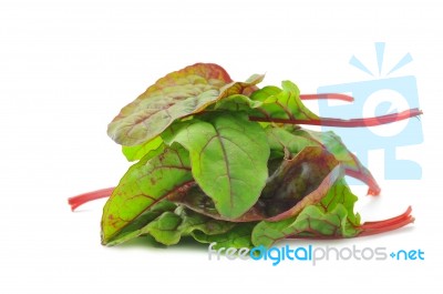 Red Chard Salad Leaves Stock Photo