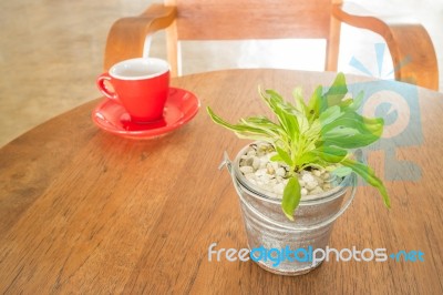 Red Cup Of Coffee And Green Plant Bucket On Wooden Table Stock Photo