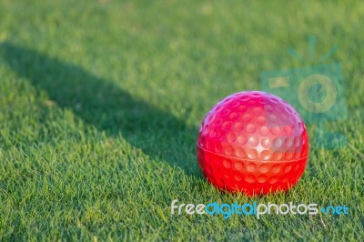 Red Golf Ball On Grass Stock Photo