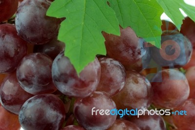 Red Grape Stock Photo