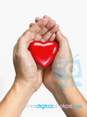 Red Heart In Hands Stock Photo