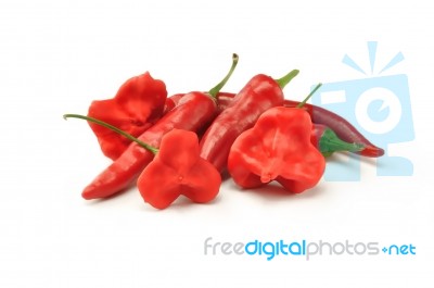 Red Hot Pepper Stock Photo