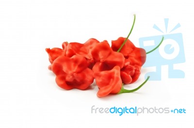 Red Hot Pepper Stock Photo