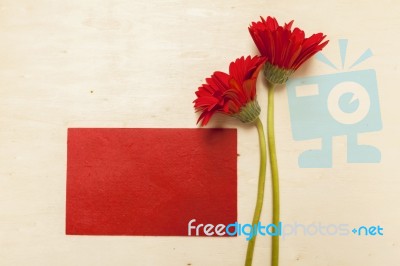 Red Paper Card With Red Daisy Flower Stock Photo